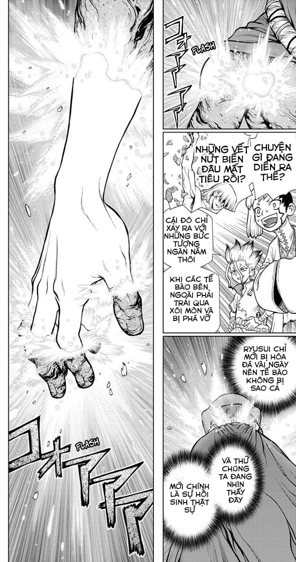 Dr.stone - Chương 116 - Trang 17
