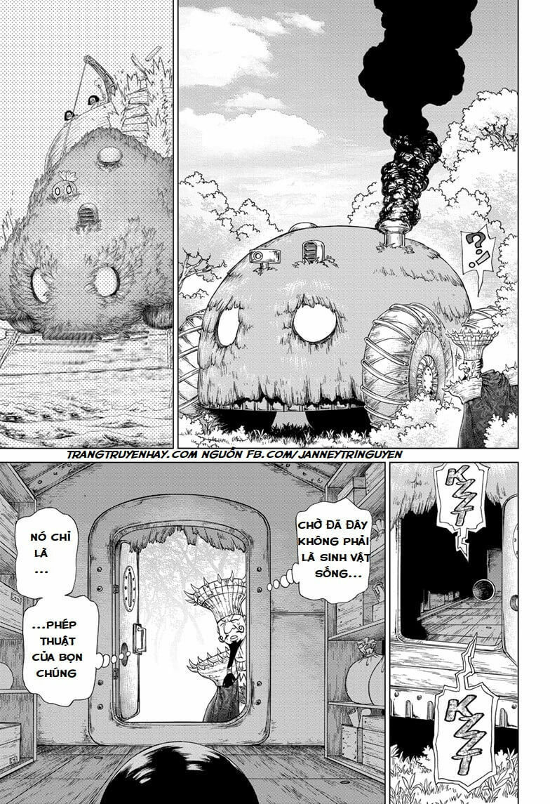 Dr.stone - Chương 134 - Trang 15