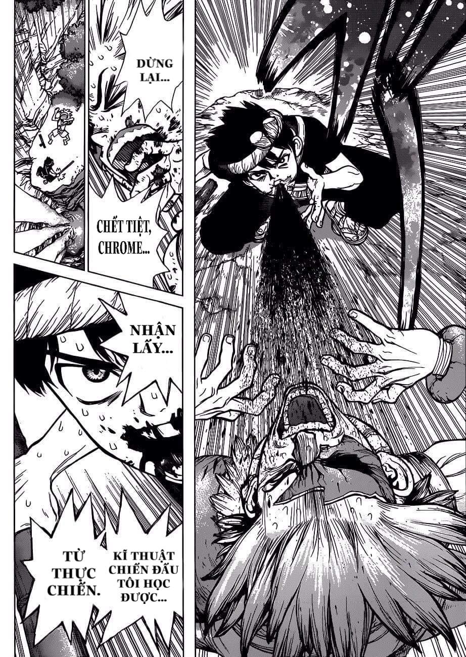 Dr.stone - Chương 72 - Trang 13