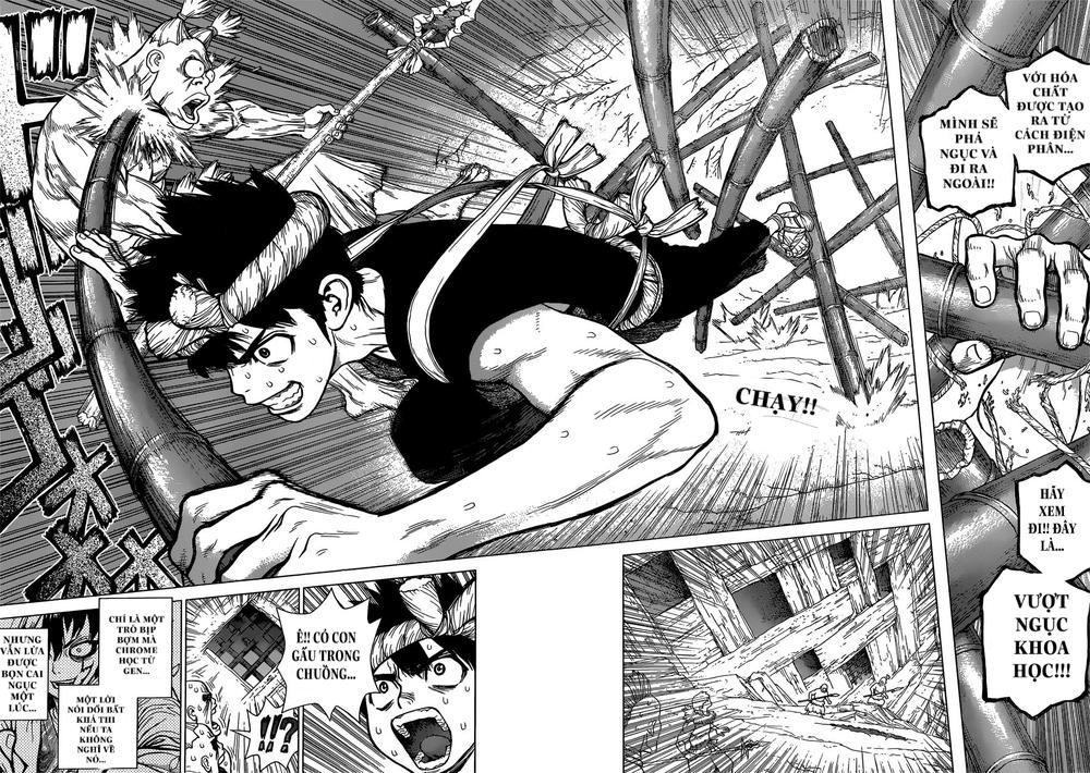 Dr.stone - Chương 72 - Trang 3