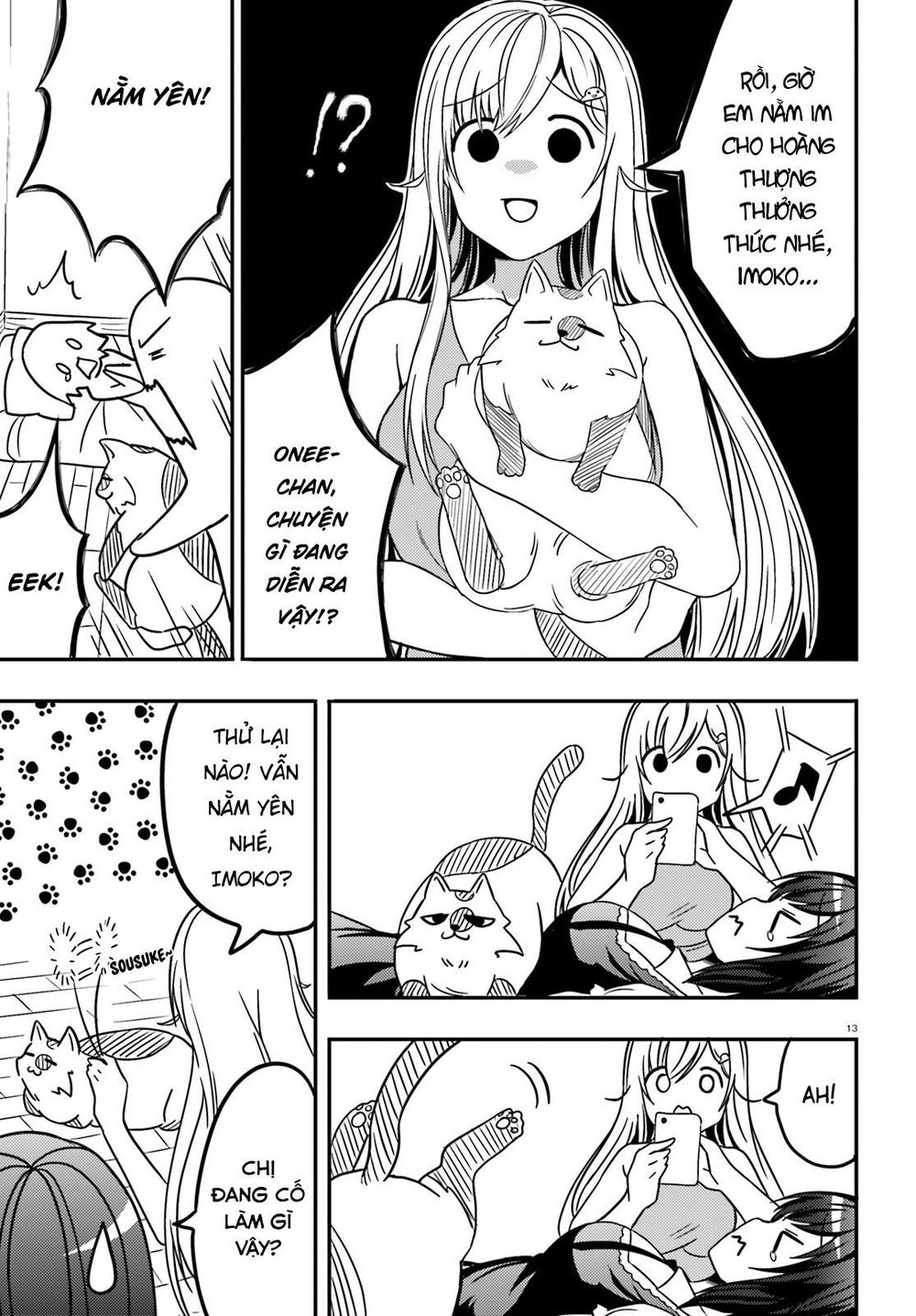 Neeko Wa Tsurai Yo (Series) - Chương 17 - Trang 14