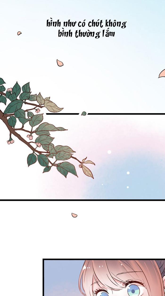 Đom Đóm Trên Dòng Sông Cô Quạnh - Chương 15 - Trang 22