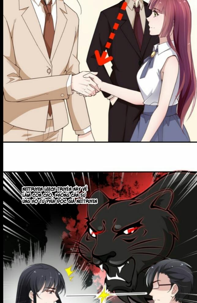 Tổng Tài Hai Mặt Sủng Thê Chỉ Nam - Chương 11 - Trang 13