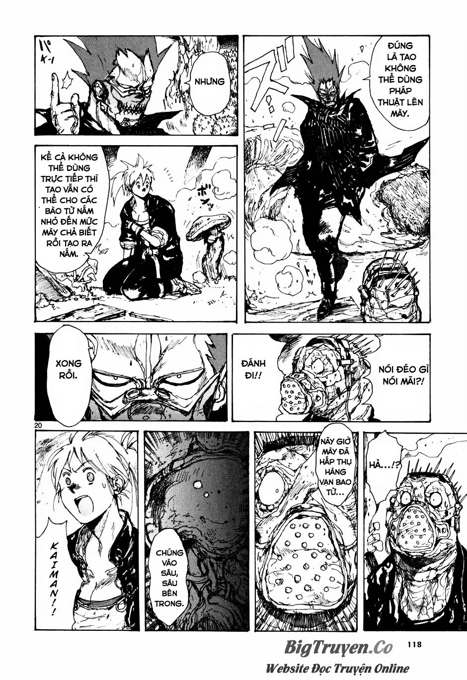 Kẻ Mất Trí Và Thế Giới Ma Thuật - Chương 60 - Trang 21