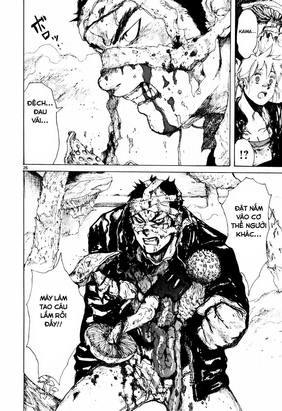 Kẻ Mất Trí Và Thế Giới Ma Thuật - Chương 60 - Trang 27