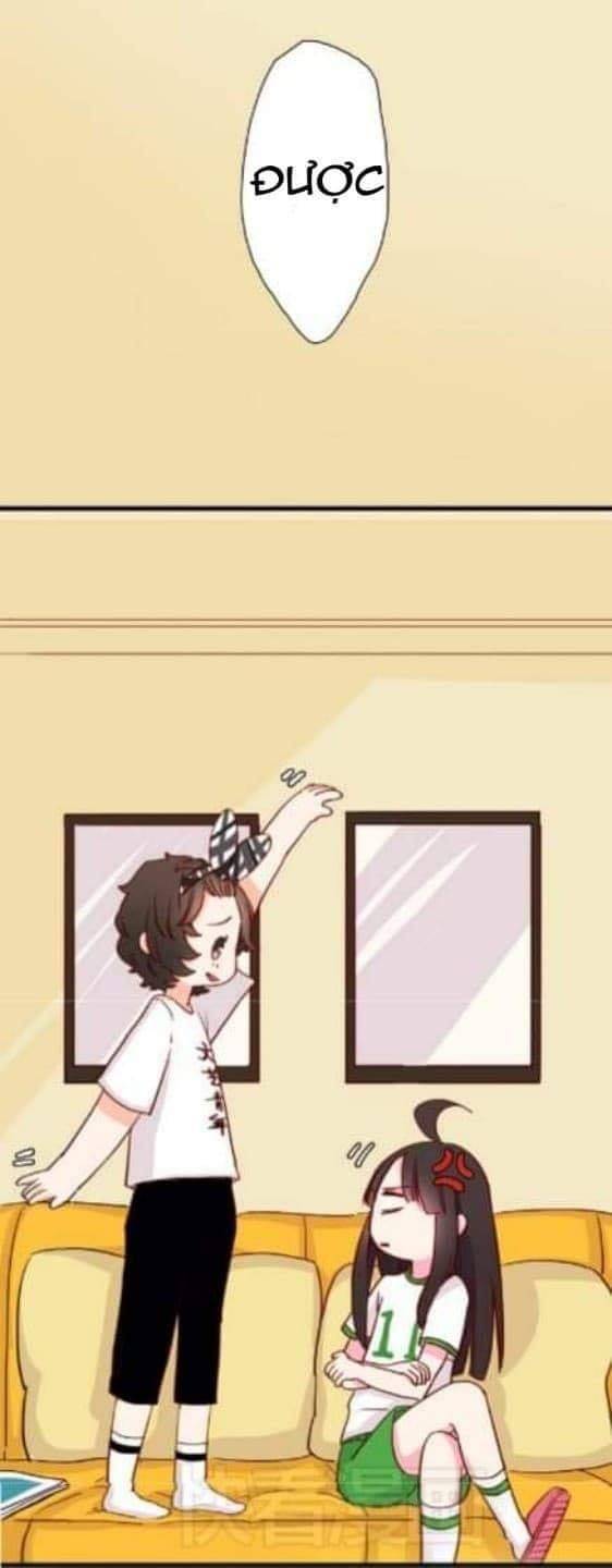 Chuyện Ngày Thường: Gấu Nhỏ Dư Và Thỏ Thỏ Hứa - Chương 9 - Trang 19