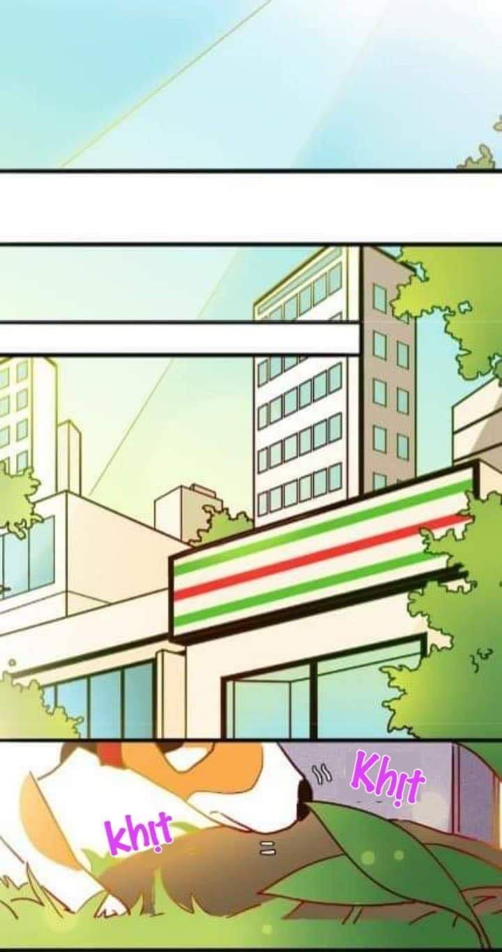 Chuyện Ngày Thường: Gấu Nhỏ Dư Và Thỏ Thỏ Hứa - Chương 9 - Trang 20