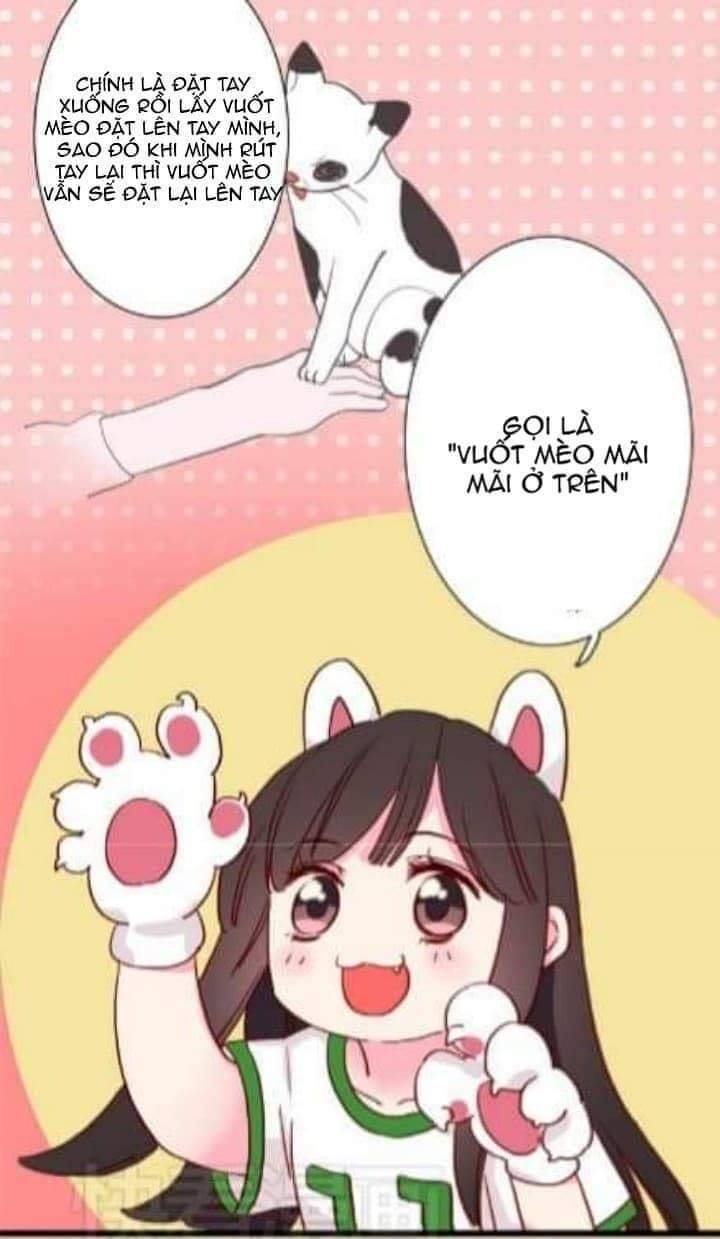 Chuyện Ngày Thường: Gấu Nhỏ Dư Và Thỏ Thỏ Hứa - Chương 9 - Trang 10