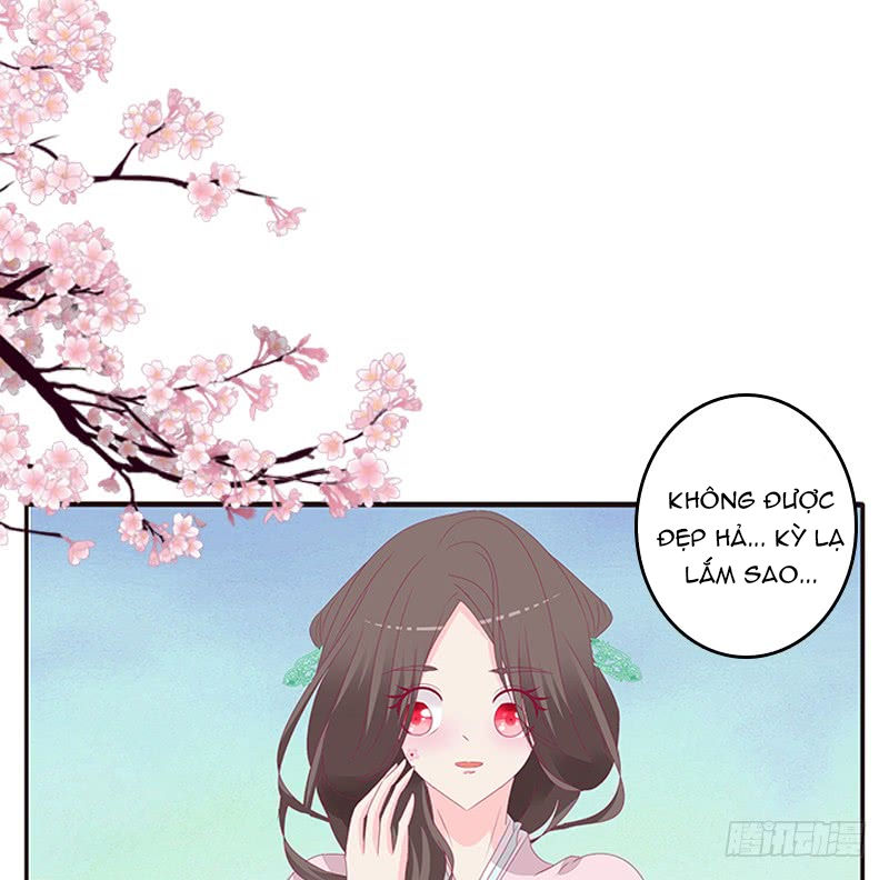 Tướng Quân Xin Xuất Chinh - Chương 104 - Trang 19