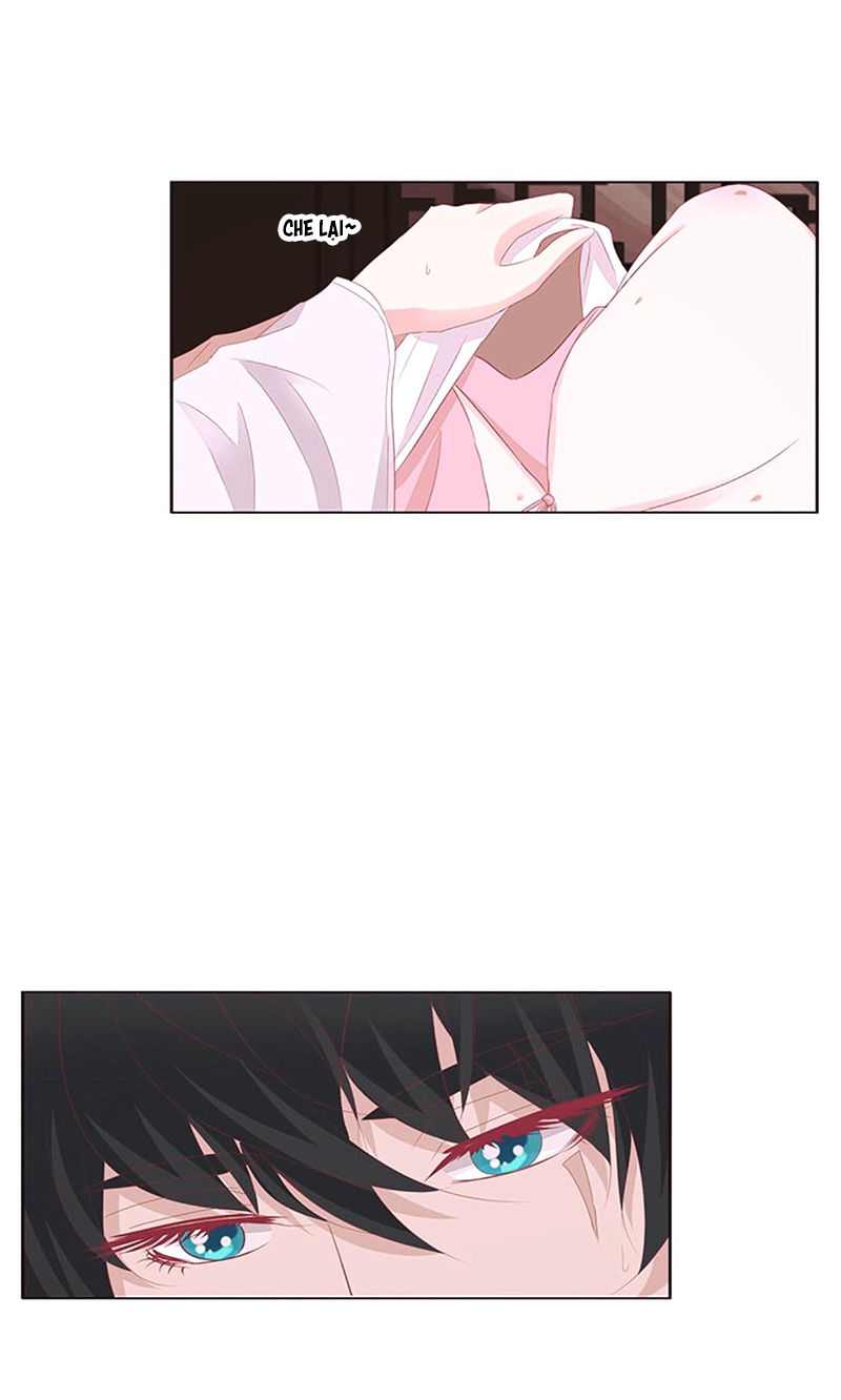 Tướng Quân Xin Xuất Chinh - Chương 110 - Trang 11