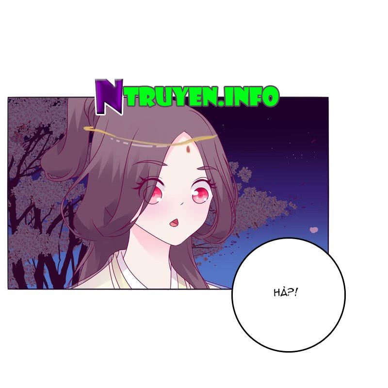 Tướng Quân Xin Xuất Chinh - Chương 19 - Trang 12