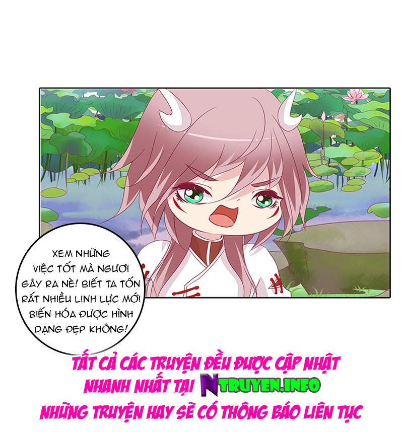 Tướng Quân Xin Xuất Chinh - Chương 41 - Trang 20