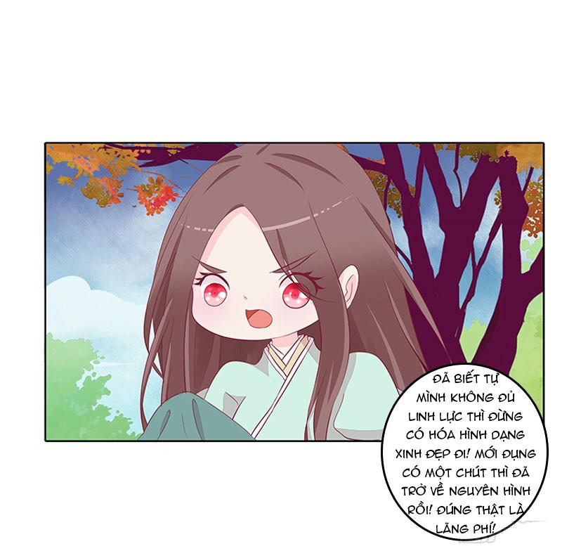 Tướng Quân Xin Xuất Chinh - Chương 41 - Trang 22