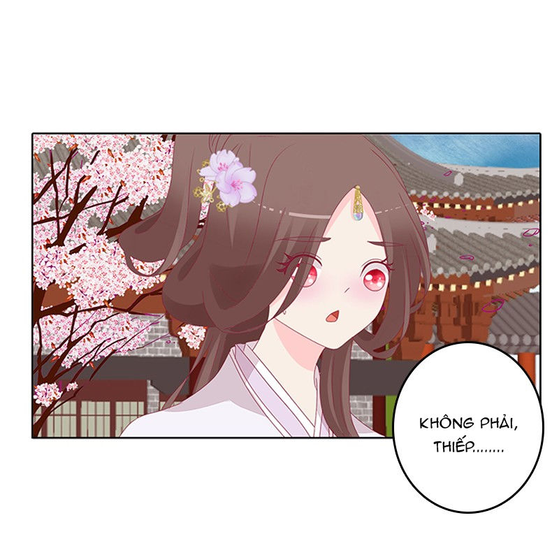 Tướng Quân Xin Xuất Chinh - Chương 66 - Trang 14