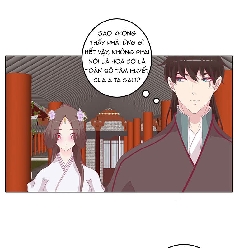 Tướng Quân Xin Xuất Chinh - Chương 67 - Trang 13