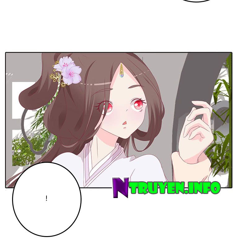 Tướng Quân Xin Xuất Chinh - Chương 68 - Trang 13