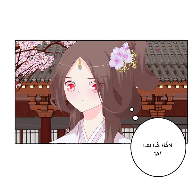 Tướng Quân Xin Xuất Chinh - Chương 69 - Trang 13