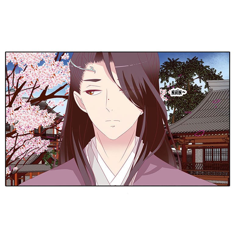 Tướng Quân Xin Xuất Chinh - Chương 71 - Trang 11