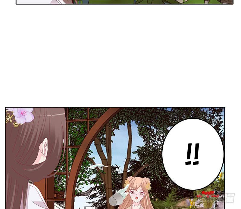 Tướng Quân Xin Xuất Chinh - Chương 71 - Trang 5