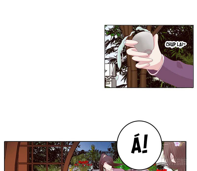 Tướng Quân Xin Xuất Chinh - Chương 71 - Trang 7