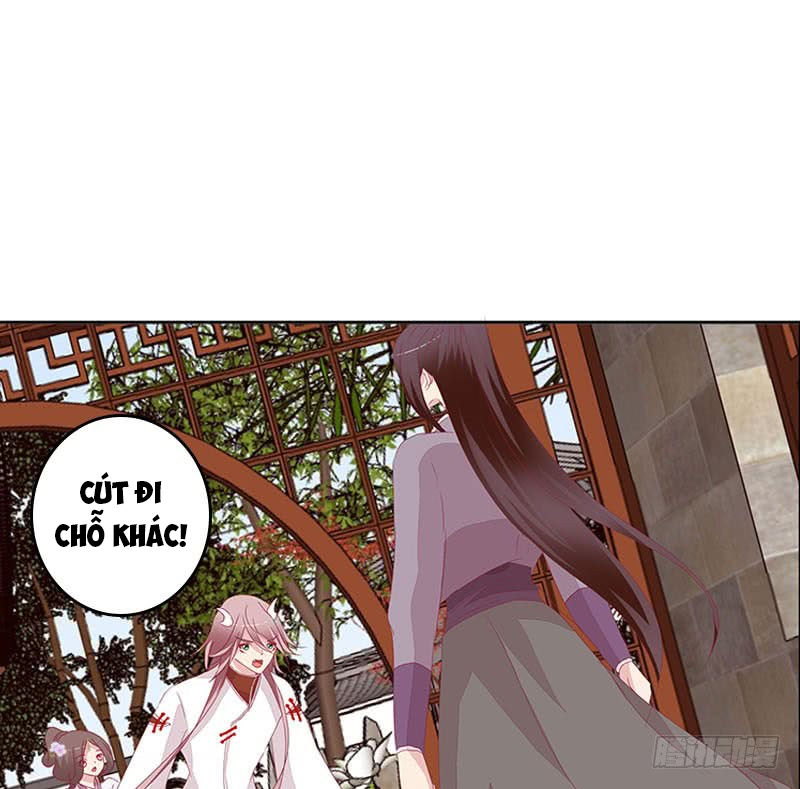 Tướng Quân Xin Xuất Chinh - Chương 72 - Trang 19