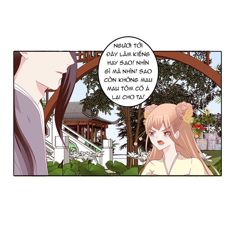 Tướng Quân Xin Xuất Chinh - Chương 72 - Trang 5