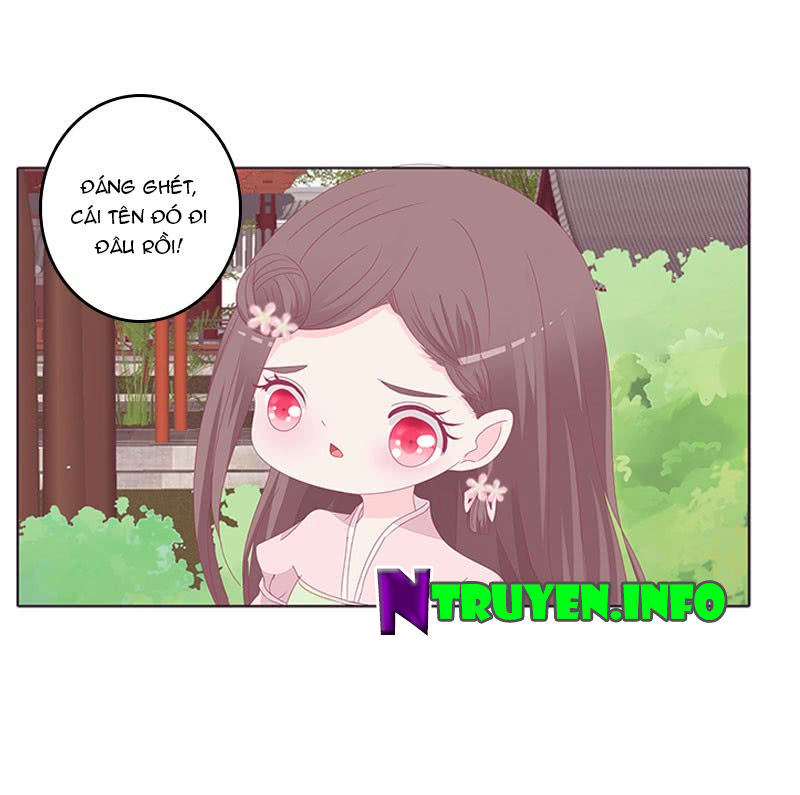 Tướng Quân Xin Xuất Chinh - Chương 73 - Trang 12