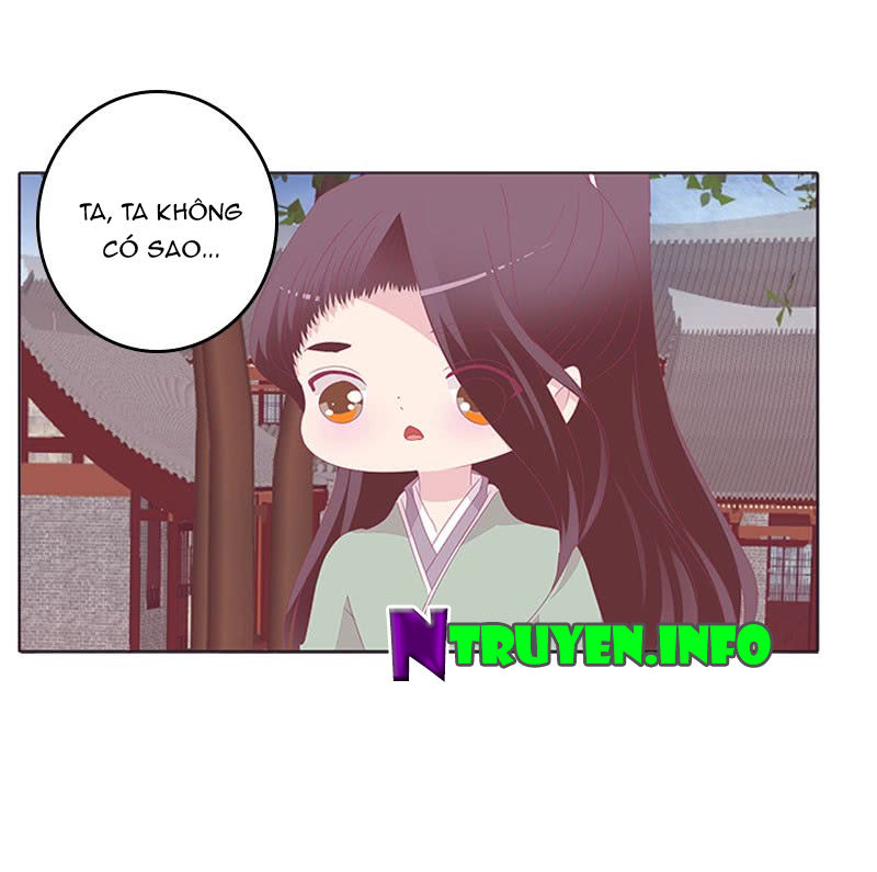 Tướng Quân Xin Xuất Chinh - Chương 74 - Trang 12