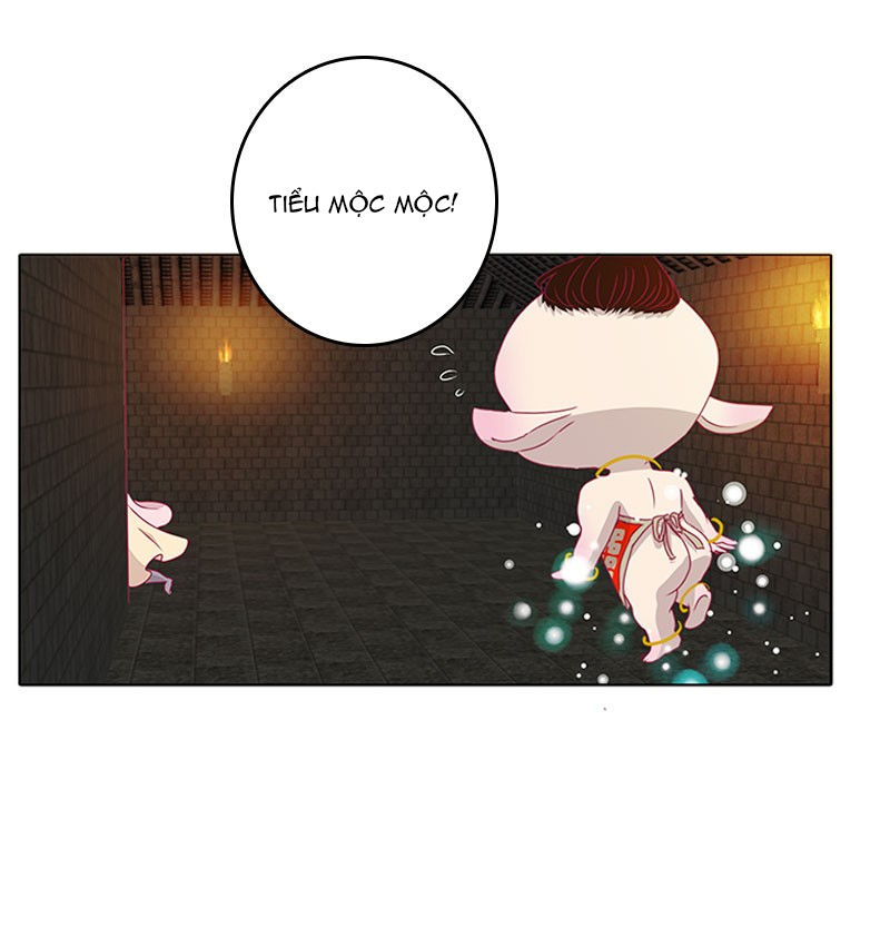 Tướng Quân Xin Xuất Chinh - Chương 76 - Trang 24