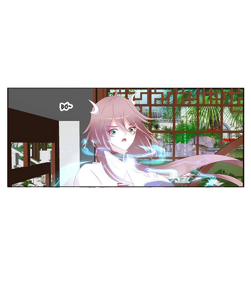 Tướng Quân Xin Xuất Chinh - Chương 81 - Trang 5