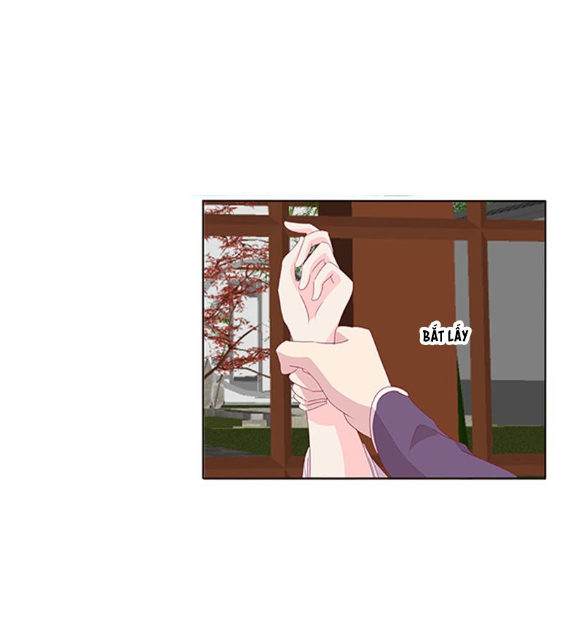 Tướng Quân Xin Xuất Chinh - Chương 81 - Trang 7