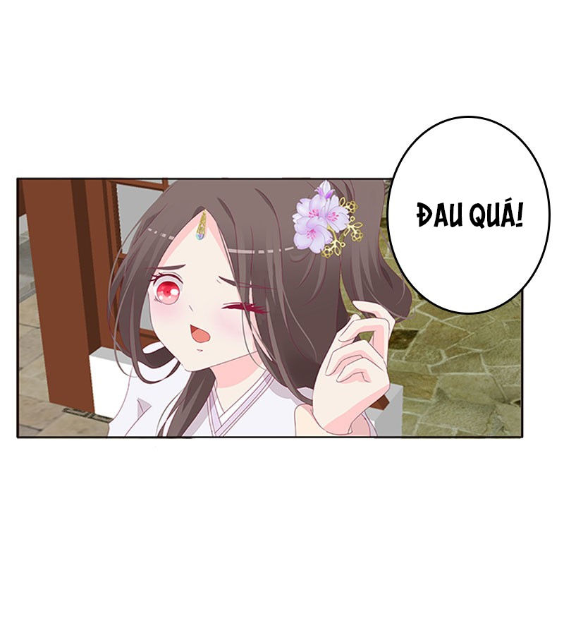 Tướng Quân Xin Xuất Chinh - Chương 82 - Trang 23