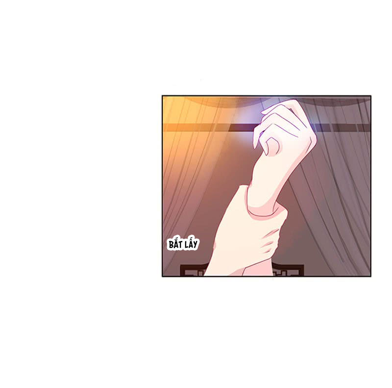 Tướng Quân Xin Xuất Chinh - Chương 86 - Trang 15