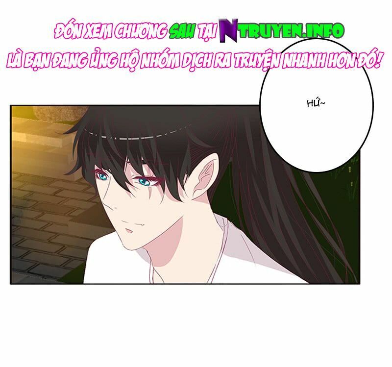 Tướng Quân Xin Xuất Chinh - Chương 117 - Trang 16