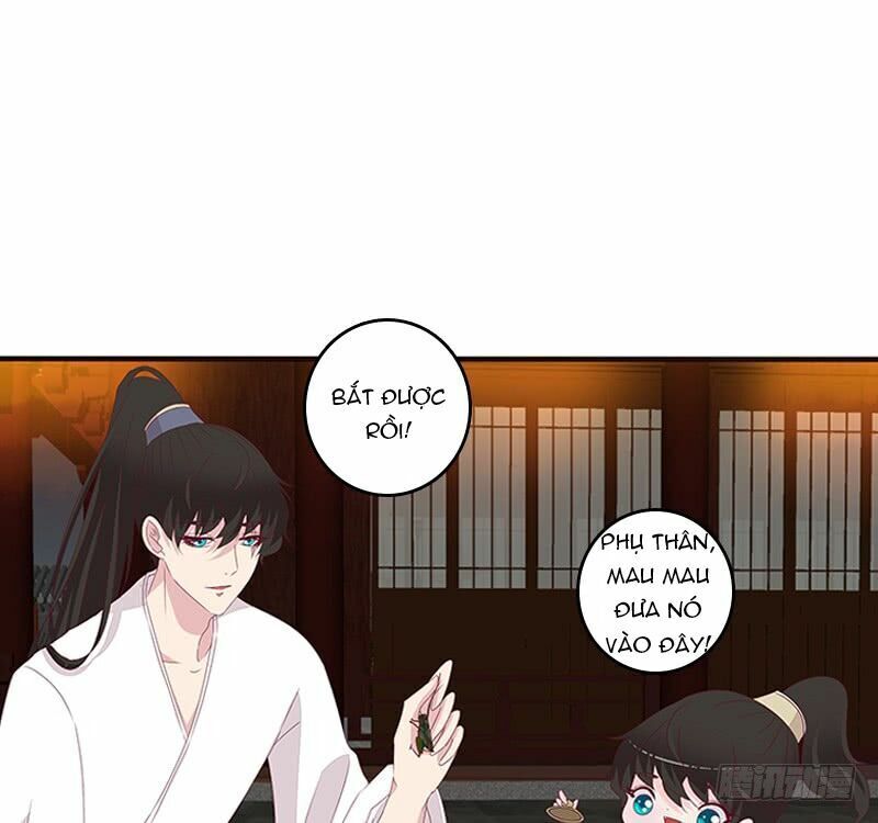 Tướng Quân Xin Xuất Chinh - Chương 117 - Trang 5