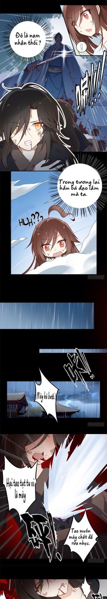 Sự Nổi Tiếng Của Cute Master - Chương 3 - Trang 4