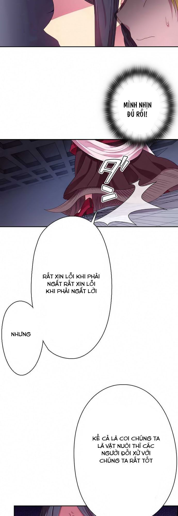 Vợ Lẽ Của Vua - Chương 14 - Trang 17