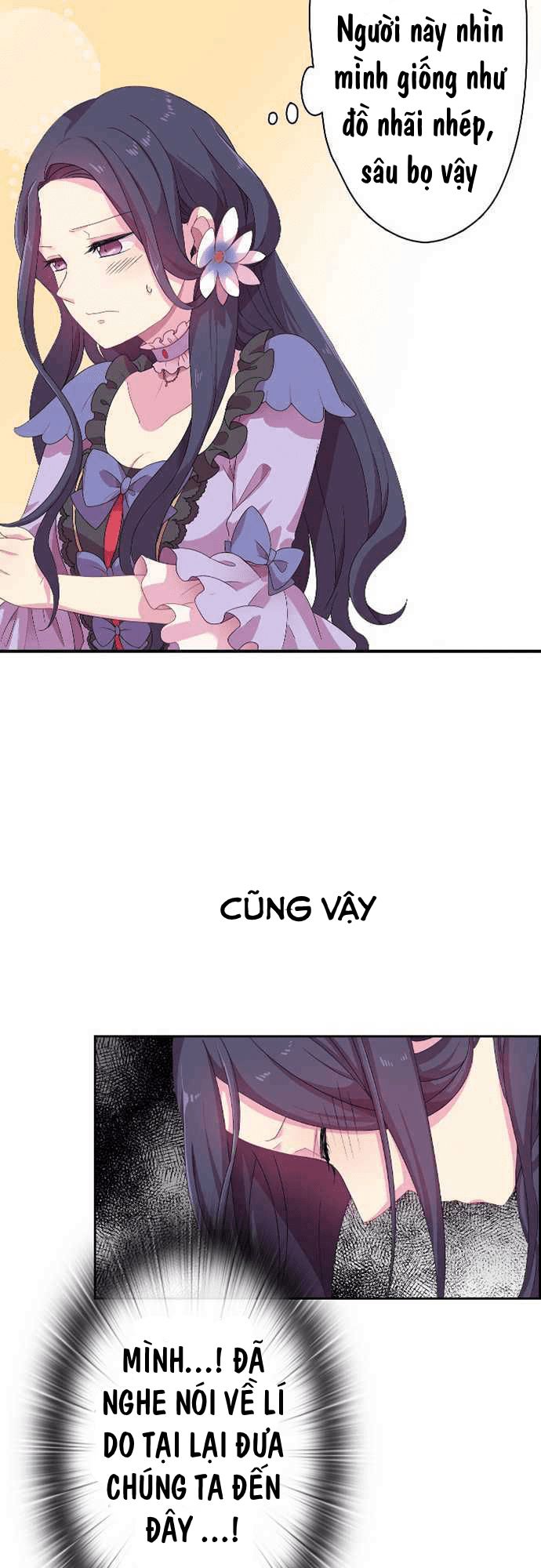 Vợ Lẽ Của Vua - Chương 8 - Trang 19