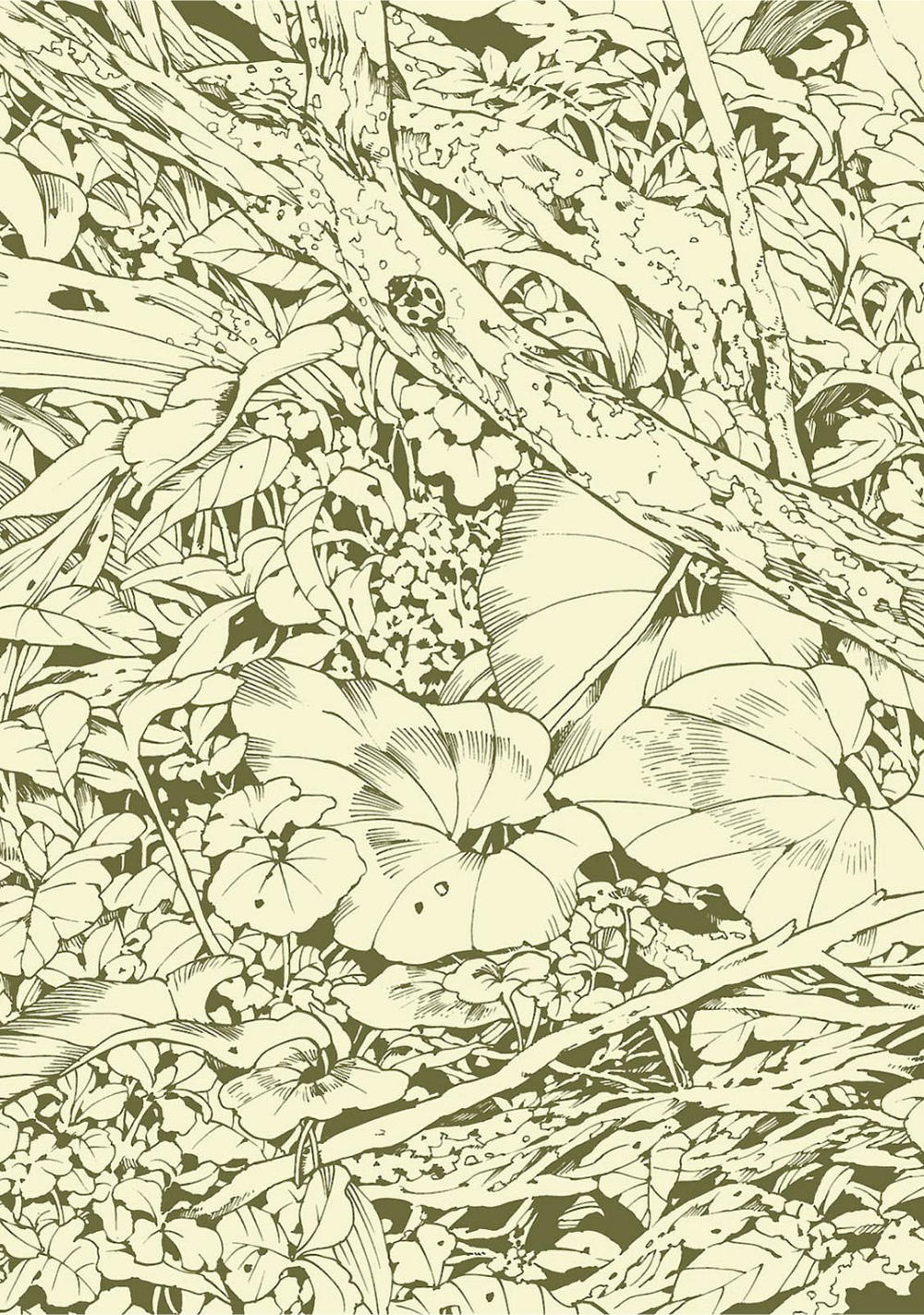 Hai Cô Gái Ở Trong Rừng - Chương 1 - Trang 4