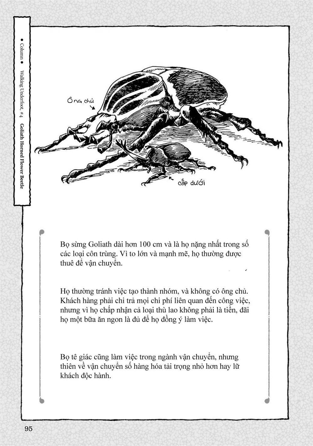 Hai Cô Gái Ở Trong Rừng - Chương 4 - Trang 23