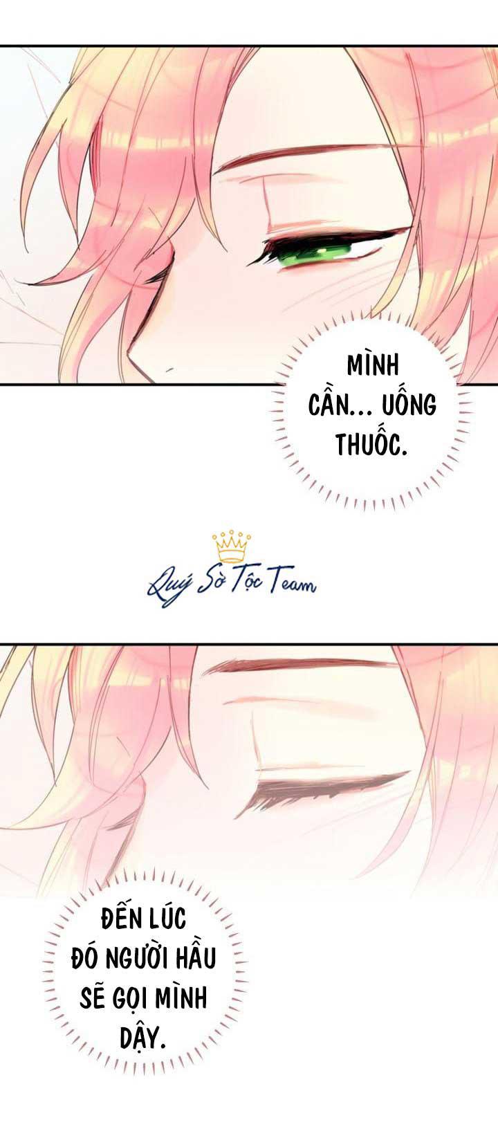 Trọng Sinh Trở Thành Hoàng Phi - Chương 2 - Trang 17