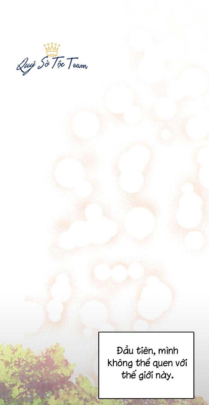 Trọng Sinh Trở Thành Hoàng Phi - Chương 2 - Trang 18