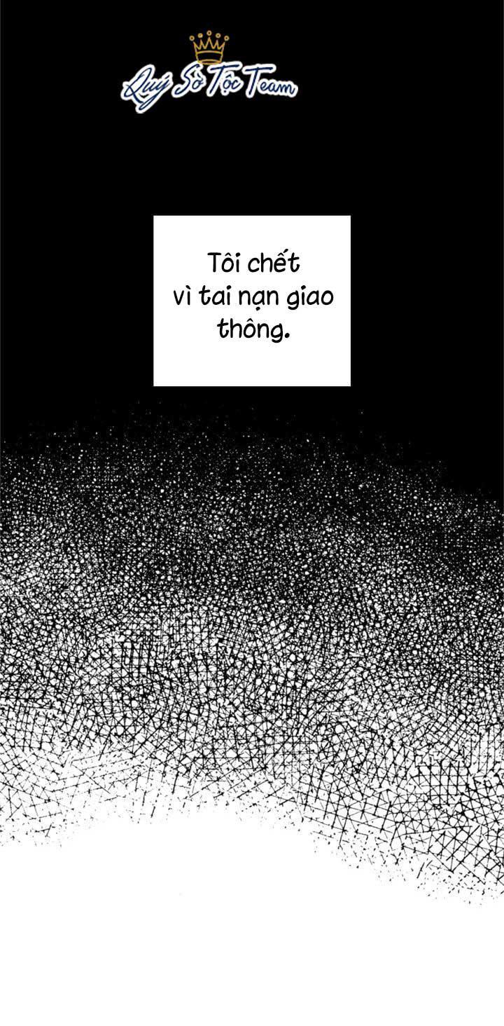 Trọng Sinh Trở Thành Hoàng Phi - Chương 2 - Trang 5