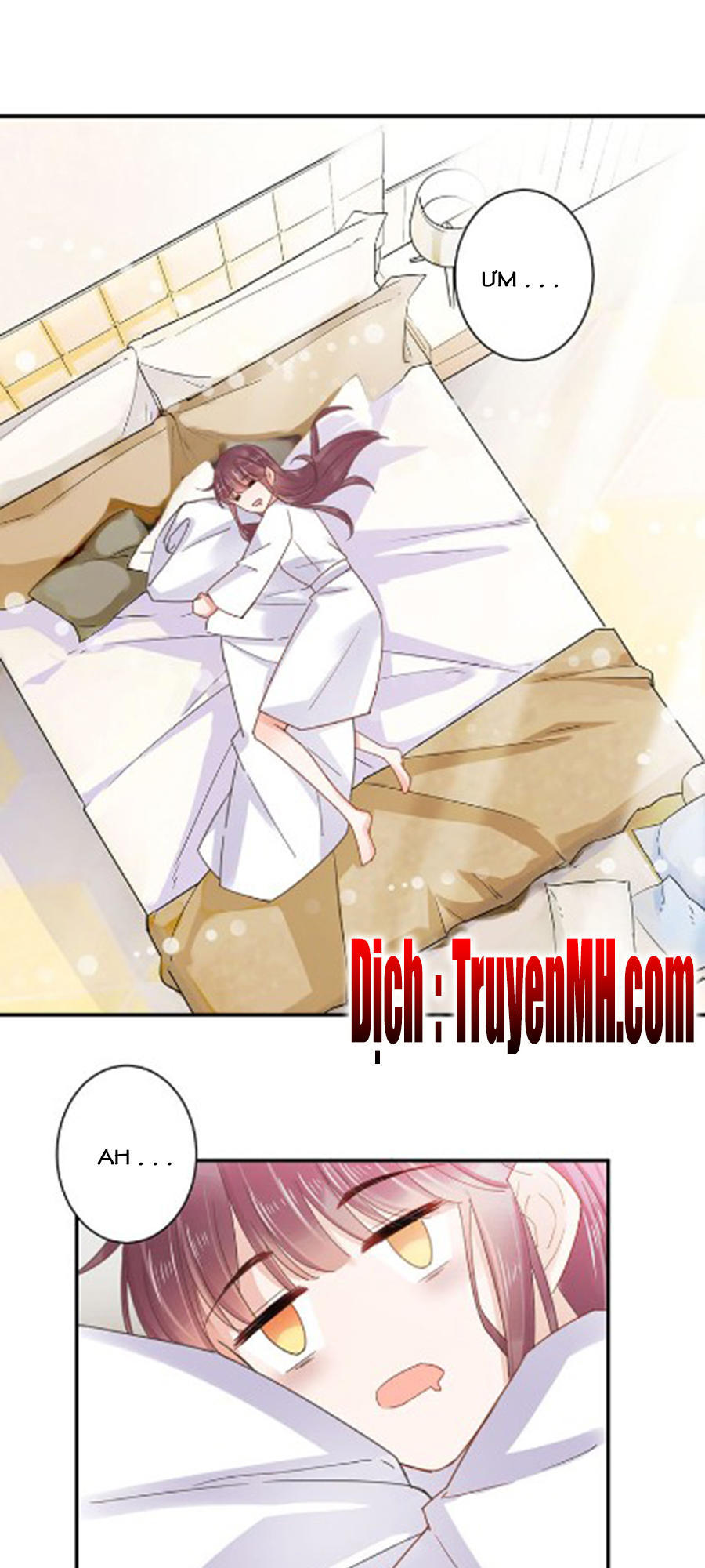 Thịnh Thế Hôn Sủng - Chương 1 - Trang 11