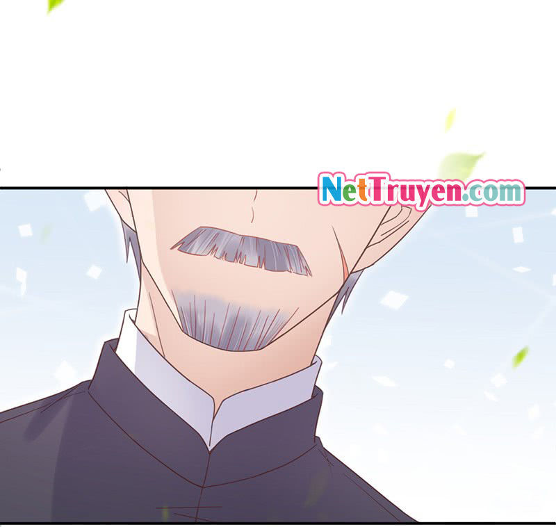Thịnh Thế Điềm Sủng: Tiểu Manh Thê Của Dịch Thiếu - Chương 14.5 - Trang 11