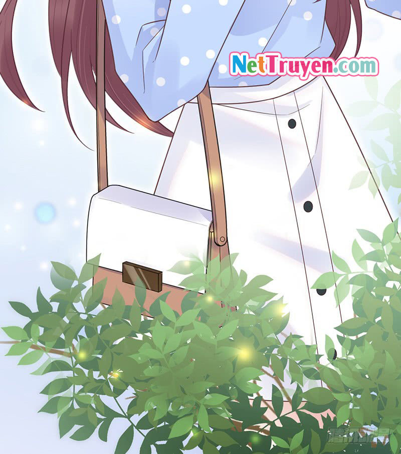 Thịnh Thế Điềm Sủng: Tiểu Manh Thê Của Dịch Thiếu - Chương 14 - Trang 23