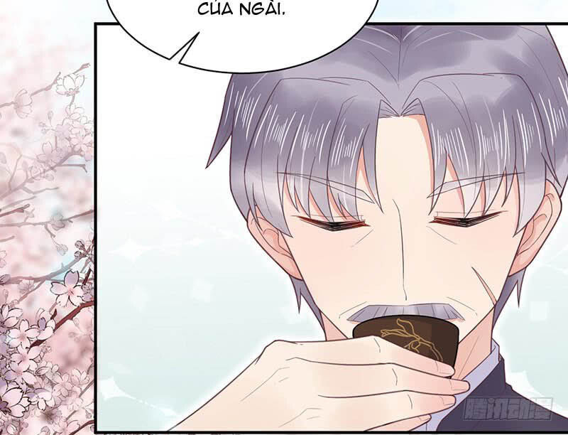 Thịnh Thế Điềm Sủng: Tiểu Manh Thê Của Dịch Thiếu - Chương 15.5 - Trang 12