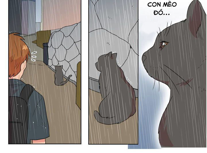 Tỏ Tình Nhầm Lẫn - Chương 5 - Trang 18