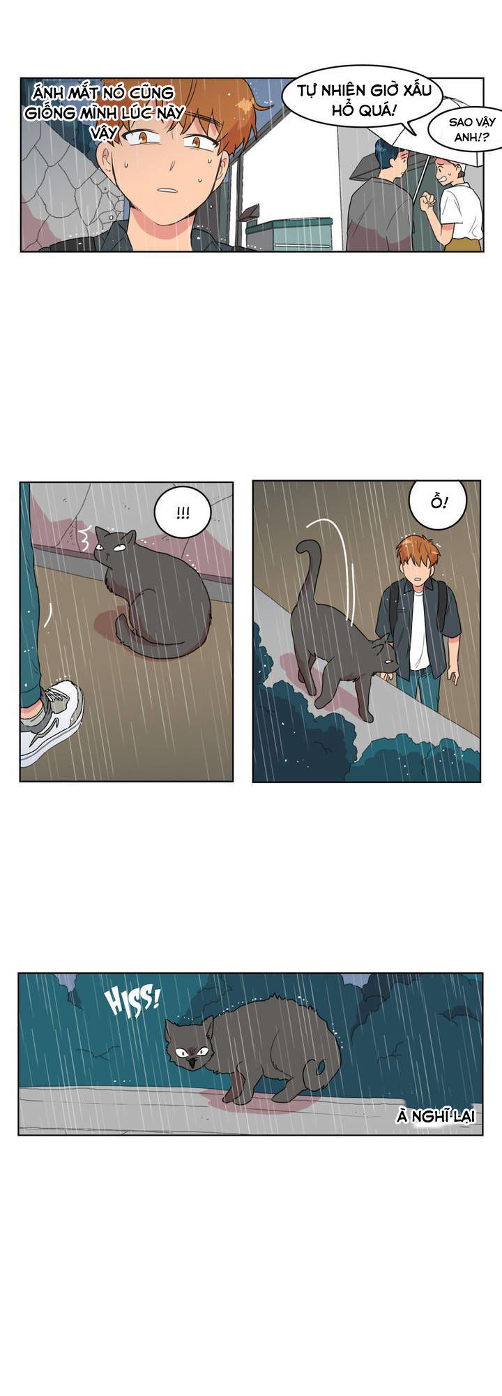 Tỏ Tình Nhầm Lẫn - Chương 5 - Trang 19