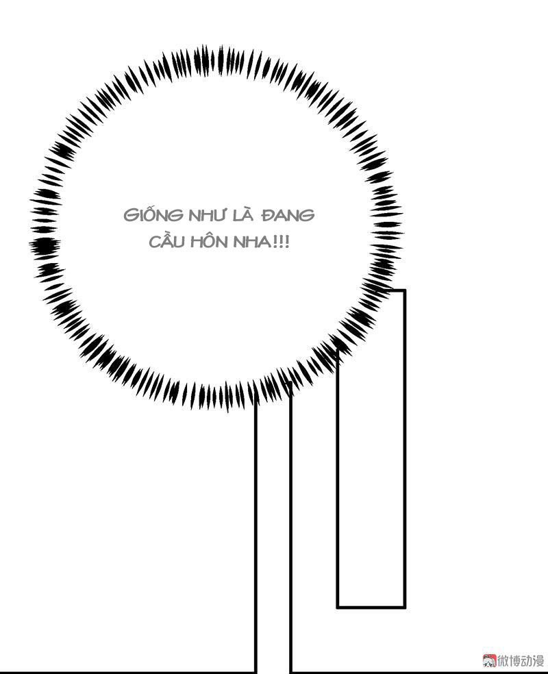 Tổng Tài Truy Thê: Phu Nhân Lại Chạy Trốn - Chương 13 - Trang 32